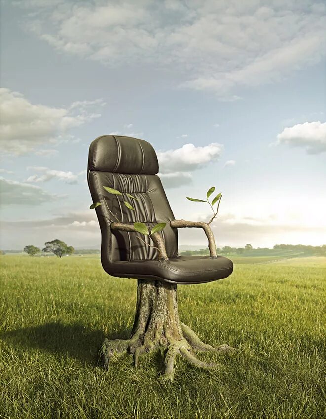 What nature friendly ideas started a new