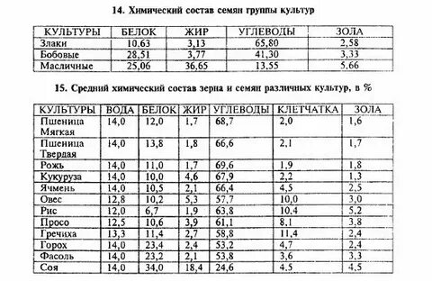 Химический состав семян