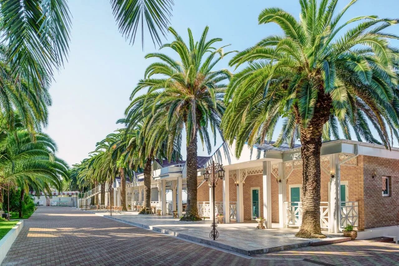 Челюскинцев отель гагра. Отель челюскинцев абхазия. Дом отдыха челюскинцев гагра абхазия. Дом отдыха челюскинцев гагра. Отель челюскинцев абхазия.