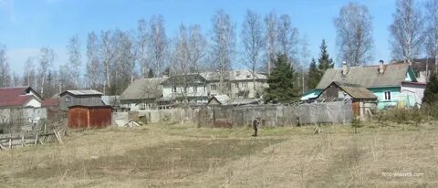 Погода синявино на 5 дней