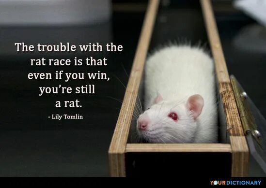 You are a rat. Rat race idiom. get out of the rat race. rat race meaning. saying goodbye to the rat race ответы.
