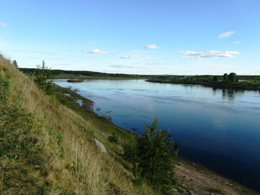 Какие из онеги. Река Онега Североонежск. Архангельск Онега река. Исток реки Онега.