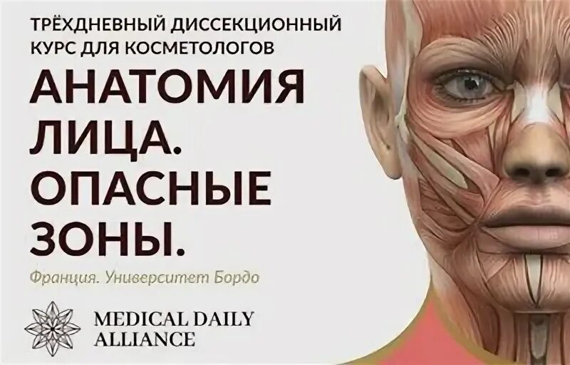 Книга какое лицо. Атлас анатомия ботулотоксина. Мышцы лица анатомия для косметологов. Мышцы лица анатомический атлас. Анатомия мышц лица для косметолога атлас.