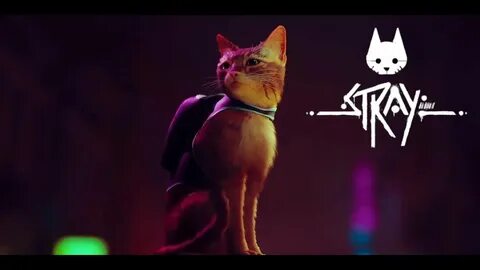 Stray official