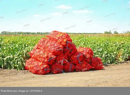 Кого называли мешок перца и почему