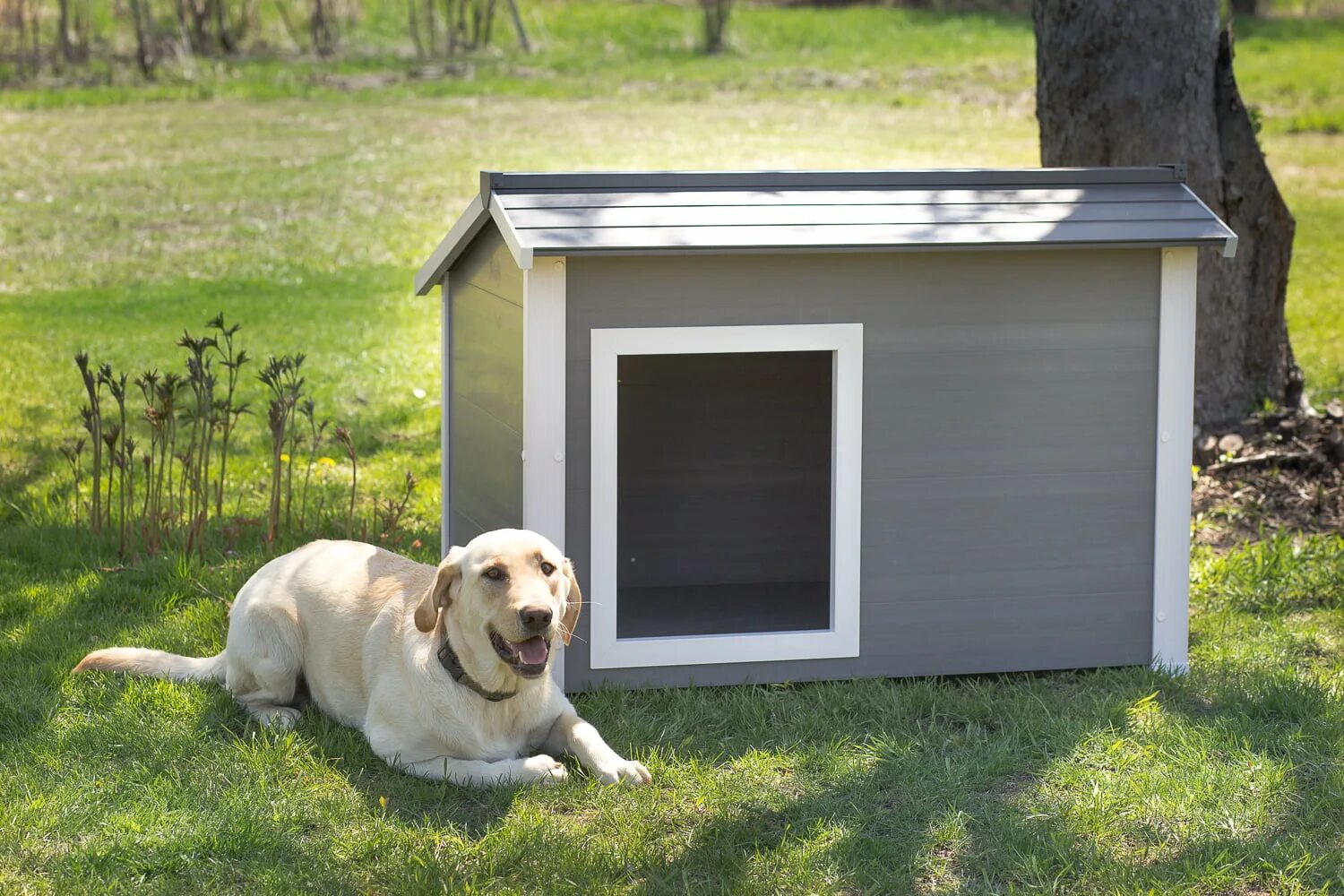 New dog house. Собачья конура. Будка догс. Собака с конурой. Будка для собаки.