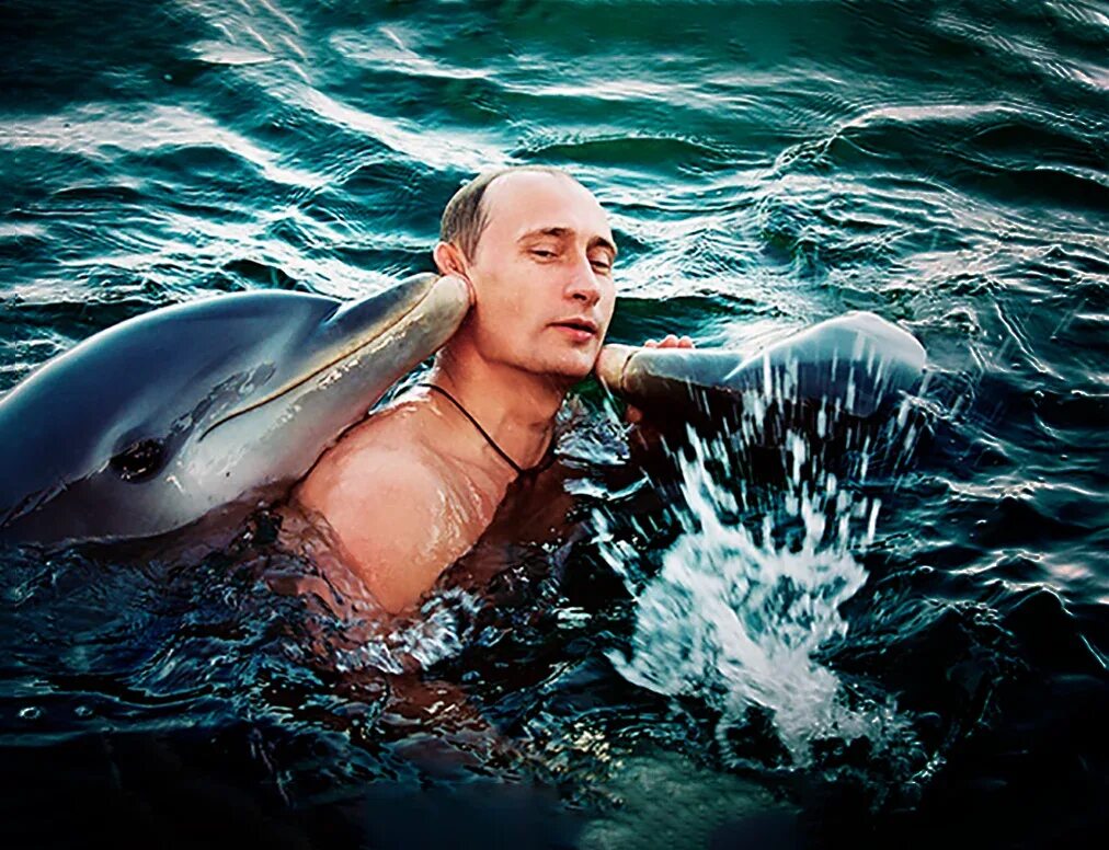 Есть ли дельфин людей. Человек Дельфин.