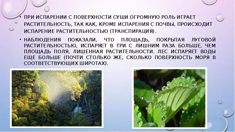 Роль испарения в природе. Роль испарения в растительном мире. испарение с поверхности суши. испарение с поверхности почвы.