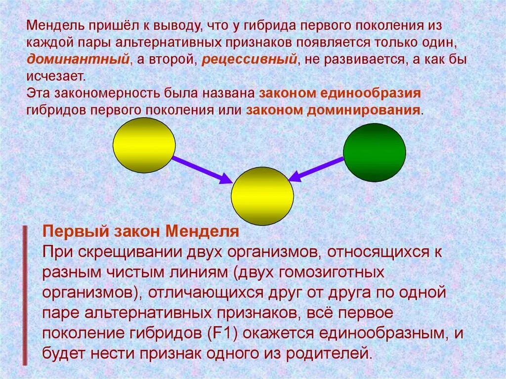 Появление у гибридов первого поколения признаков обоих родителей. Закон единообразия первого поколения. Какие признаки проявляются у гибридов первого поколения. Гибриды первого поколения. Признаки проявляющиеся у гибридов первого поколения называются