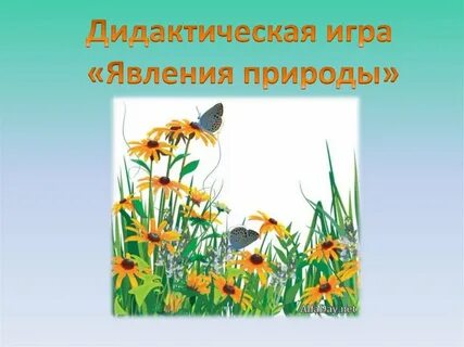 Играло явление