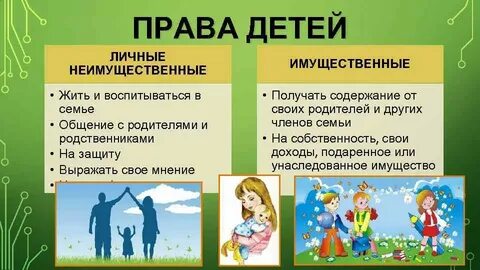 Моя семья право