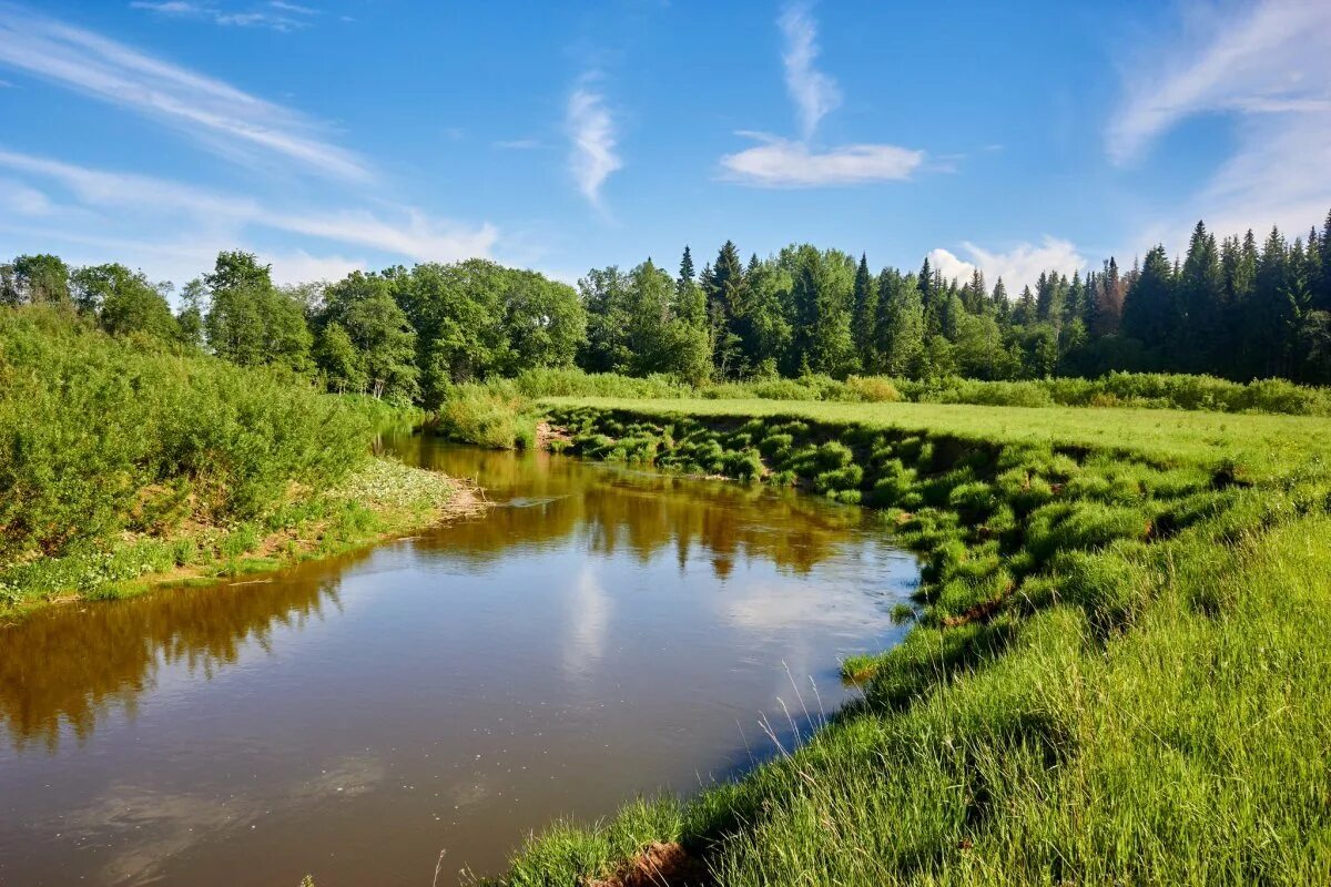 Мост река чепца глазов. Река чепца в удмуртии. Гора байгурезь удмуртия. Река чепца в удмуртии. Река байгурезь удмуртия.