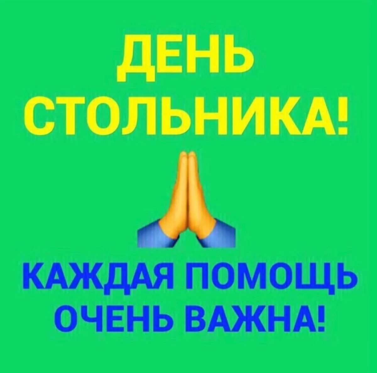 День стольника для бездомных животных. Неделя стольника для животных. День стольника в приюте. День стольника. День стольника для бездомных животных.