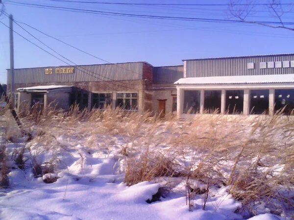 Деревня красный куст тамбовская область. Смешные названия населеленных пунктов. Поселок кустов. Поселок красный куст мучкапский район тамбовская область. Каунас ботанический сад.