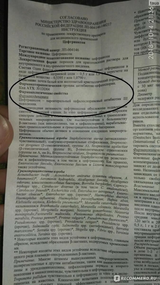 Цефтриаксон разведенный можно хранить. Антибиотик цефтриаксон инструкция. антибиотик цефтриаксон уколы инструкция. цефтриаксон уколы инструкция. уколы антибиотики цефтриаксон показания.