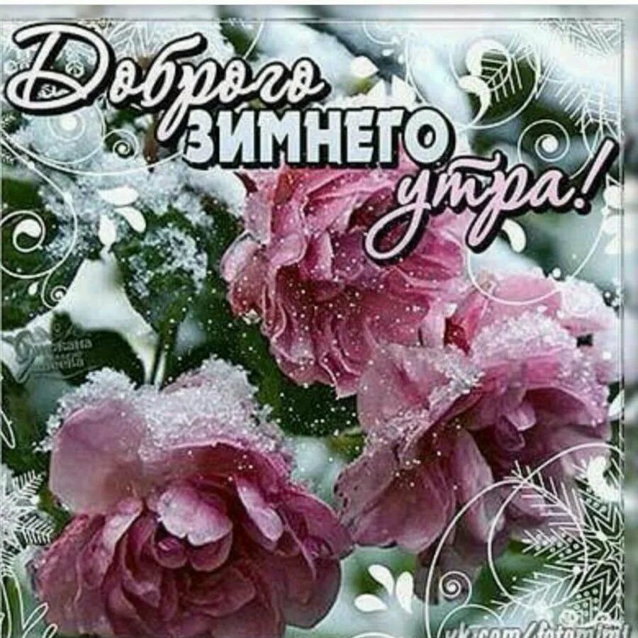 Привет зимним утром картинки. Открытки с добрым утром зимние. зимний приветик и доброе утро. красивые зимние приветы. доброе утро зимний привет.