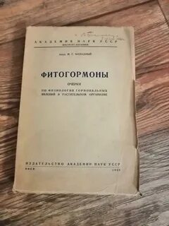 Холодный н н