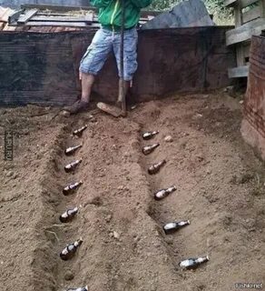 Огород посажу песня