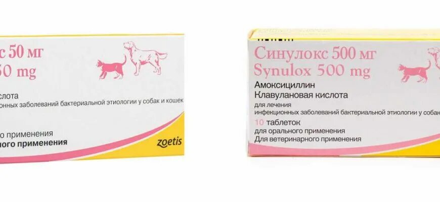 Синулокс 50 мг таблетки. Zoetis синулокс 50 мг. Синулокс табл. 250мг. Антибиотик для животных синулокс таблетки 50мг. Мотелегаз