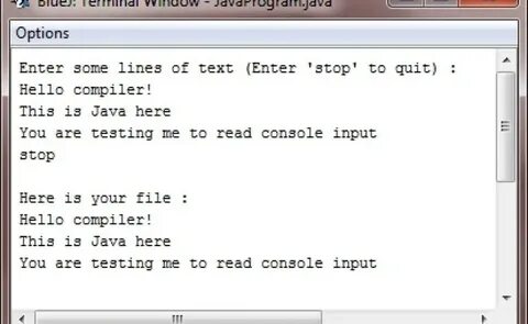 Java options
