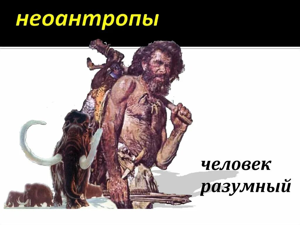 Неоантроп кроманьонец. Неоантропы и человек разумный. Современные люди Неоантропы. Социальные черты неоантропов