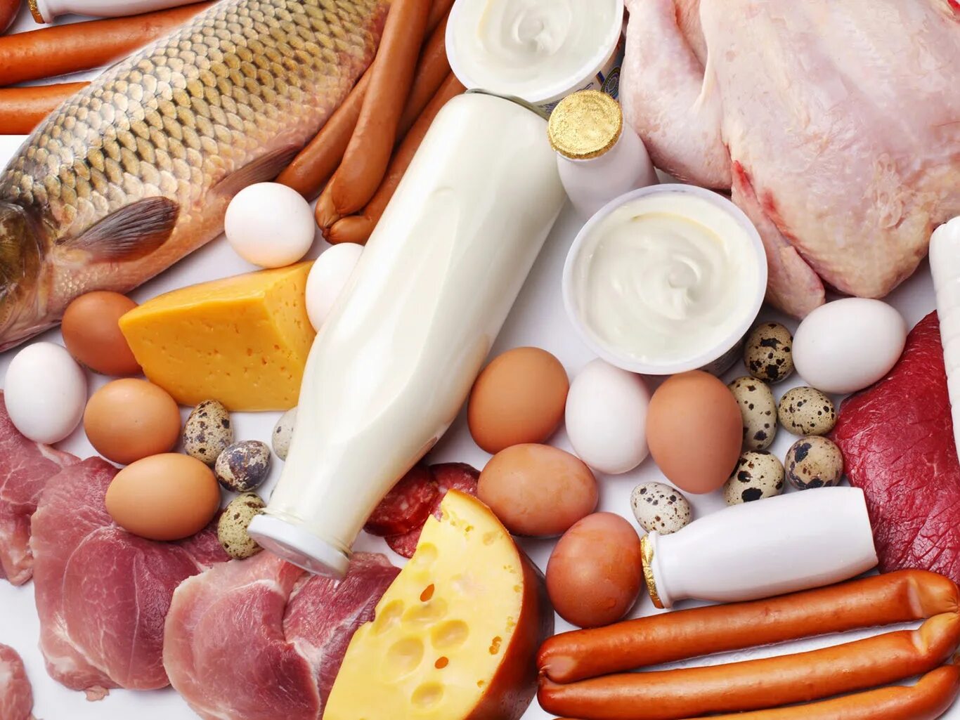Питание без белка. Белковые продукты. белки продукты. питание белки. белковая пища.