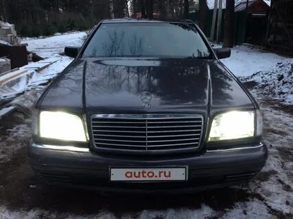 Мерин бандитский
