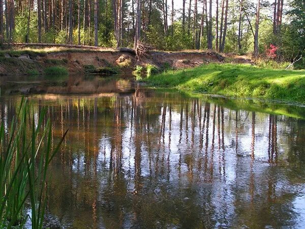 Вилия парк беларусь. Байрек картинки. Вилия парк. Нарочанка река. Минские реки.