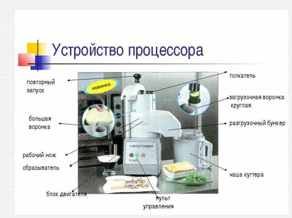 Машины для обработки овощей. Оборудование для обработки овощей. Оборудование и инвентарь для первичной обработки овощей. Машины для обработки овощей и картофеля.