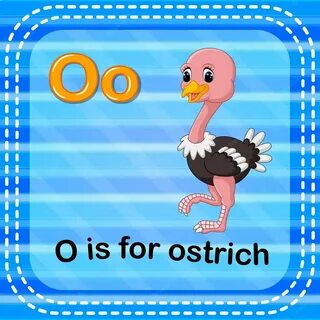 O is for