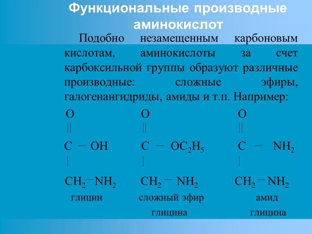 Кислотно основные аминокислоты