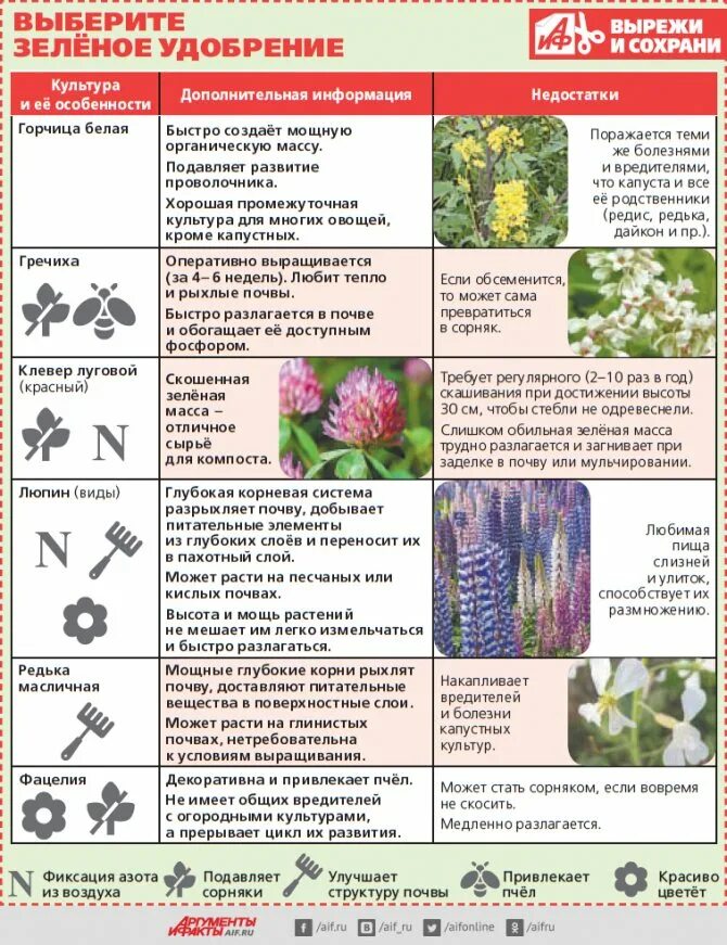 Сорняки индикаторы кислотности почвы. Сорняки индикаторы кислотности почвы. Кислотность почвы растительные индикаторы. Сорняки индикаторы кислотности. Ягоды индикаторы.