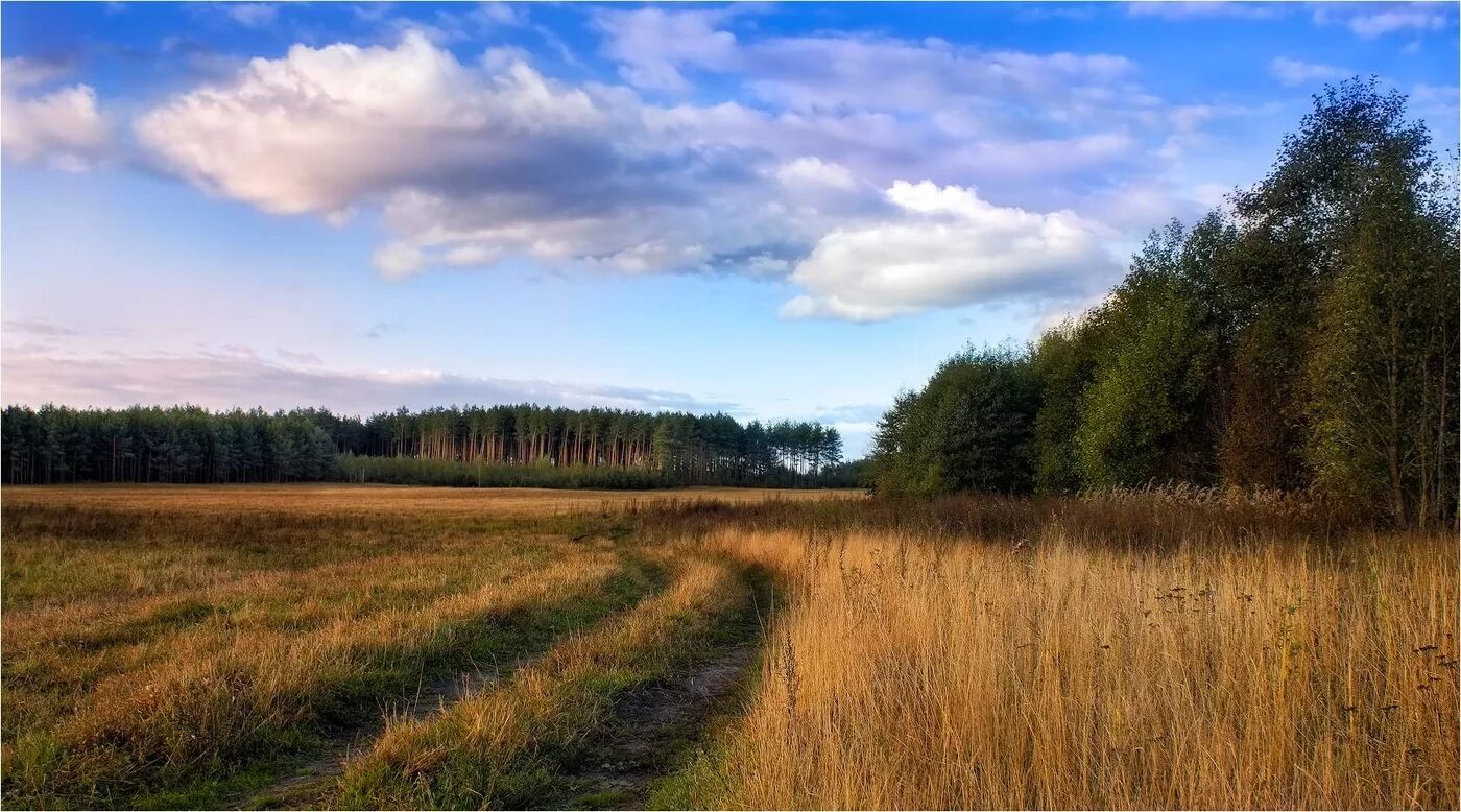 Минский край. Беларусь природа. Пейзажи Беларуси. Белорусские просторы. Белорусский пейзаж.