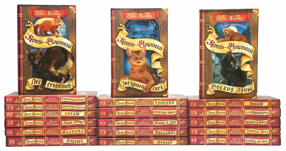 коты воители эрин. странники книга эрин хантер. коты-воители эрин хантер книга. эрин хантер коты воители автор. эрин хантер коты воители список книг.