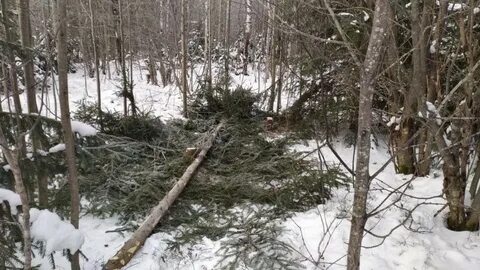 Близлежащий пункт