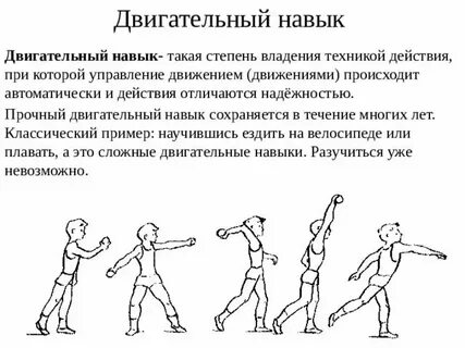 Частота двигательных движений