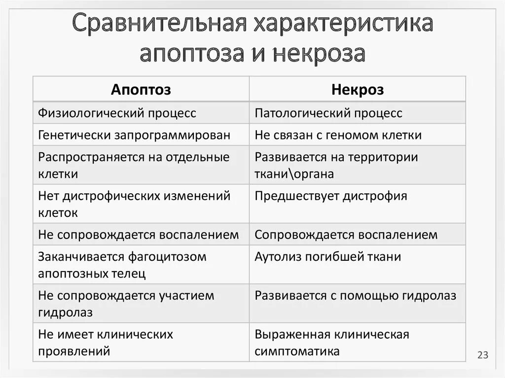 Апоптоз и некроз отличия. Сравнительная характеристика некроза и апоптоза. Механизм апоптоза патанатомия. Некроз и апоптоз сравнительная характеристика.