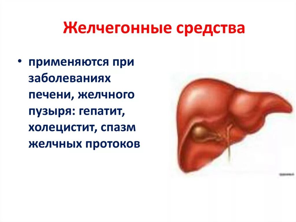Что пить при застое желчного. Препараты для желчного пузыря. желчегонное для печени. от загиба желчного пузыря препараты. инфекции печени и желчного пузыря.