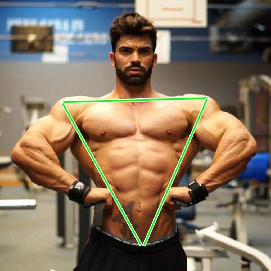 Эктоморф мезоморф и эндоморф. Эктоморфный тип телосложения. Эктоморф мезоморф и эндоморф. Mesomorfo. Бодибилдинг мезоморф эктоморф.