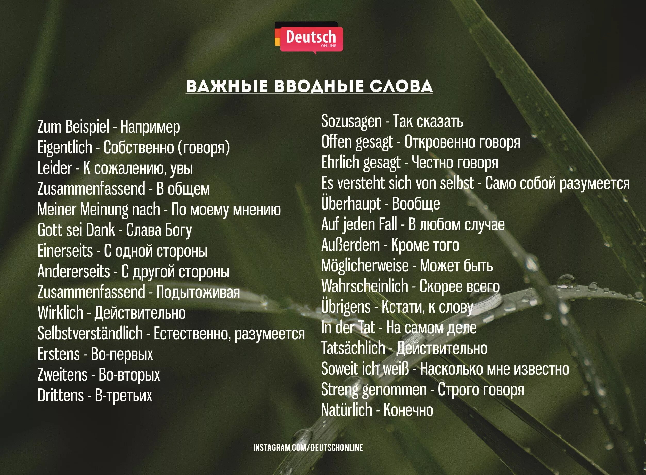 Выражения немцев. Вводные слова на немецком. вводные слова в немецком языке. высказывания о немецком языке. выражения фразы на немецком языке.