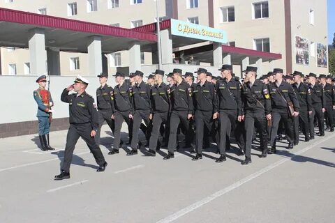 Академия г вольск