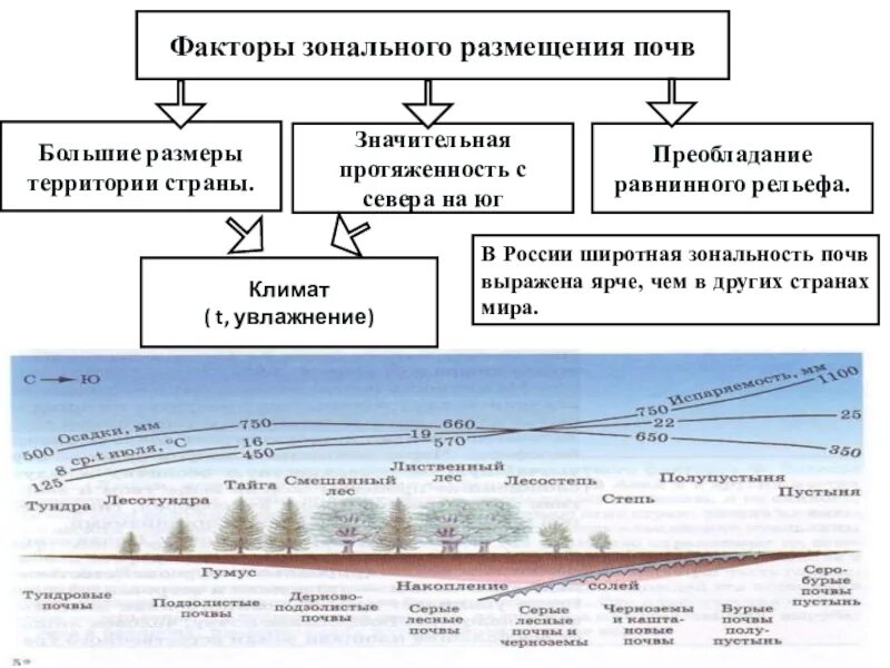 Евразия зональные и азональные природные комплексы. Зональные и азональные факторы формирования. Зональные и азональные природные комплексы. Зональное распределение почв. Зональные и азональные типы почв.