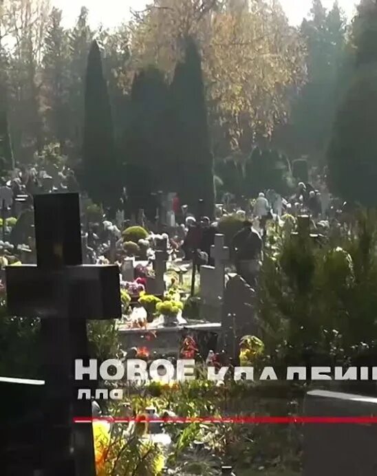 Новое кладбище. Разросшиеся кладбища на Украине. Украинские кладбища. Кладбище погибших на Украине.