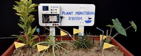 Plant systems