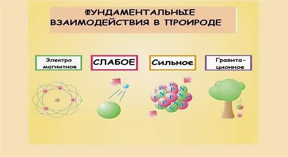 Фундаментальные физические взаимодействия. Типы фундаментальных взаимодействий. Основные виды взаимодействия физика.