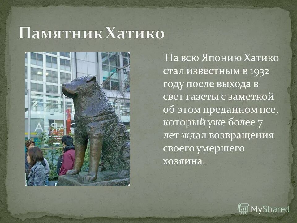 Хатико усмань. Самые известные памятники собакам. Презентация на тему памятник Хатико. Памятник Хатико. Памятник собаке Шахтеру.