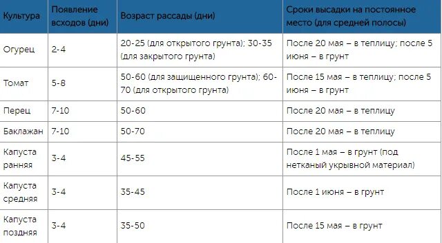 При какой температуре сажать капусту