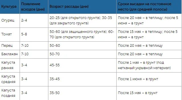 Когда сеют капусту на рассаду в каком. Сроки высадки капусты на рассаду. Сроки посадки капусты в открытый грунт. Сроки высадки рассады капусты в открытый грунт. Посадка капусты в открытый грунт рассадой сроки.