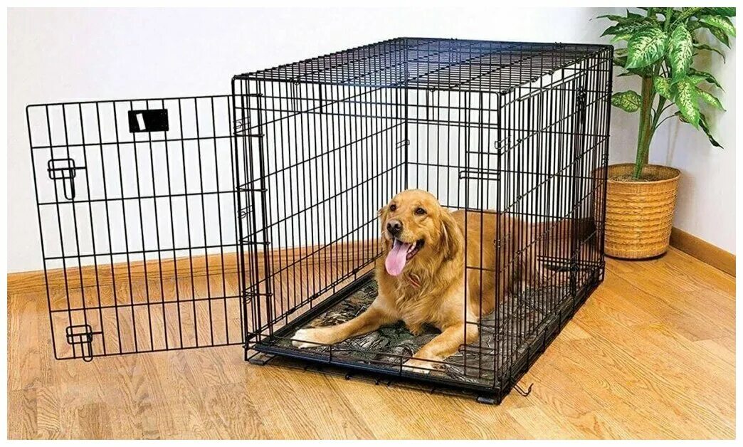 Клетка для птиц вольер № 1 ( 80 * 80 * 150 ) а16. Клетка для щенка. Midwest puppy playpen клетка. Интерьерные клетки для собак в квартиру. Клетки для собак в квартиру авито.