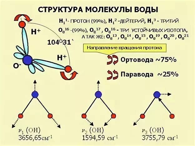 Пар молекула